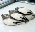 Filleted Sea Bass